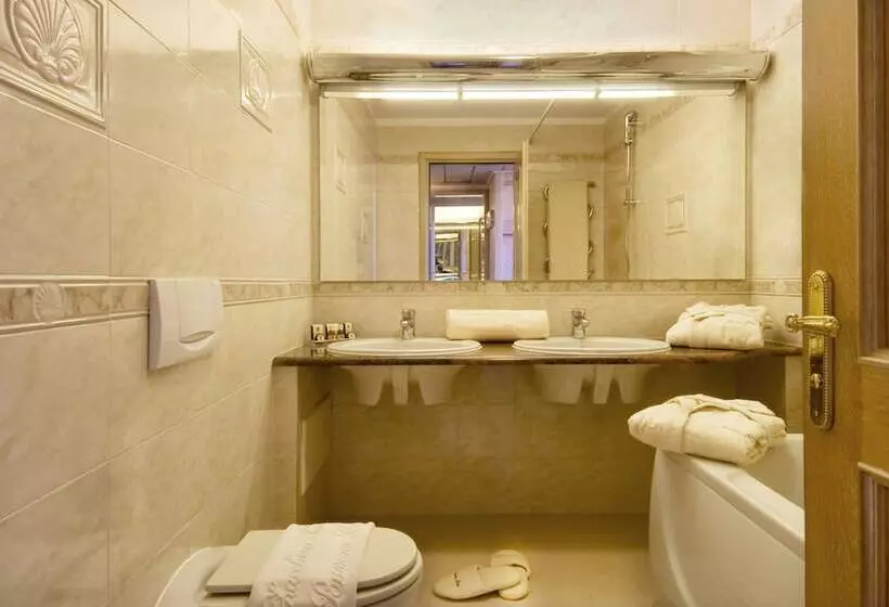 בית מלון כפרי Simplon