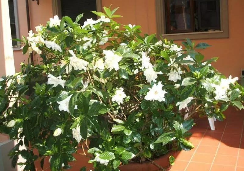 هتل Astor Victoria