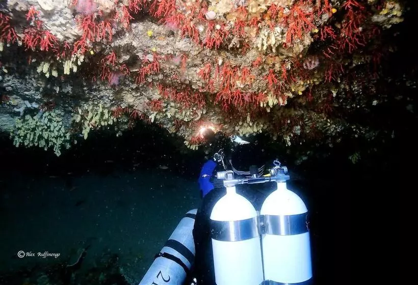 ホテル Internazionale