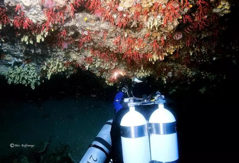 ホテル Internazionale