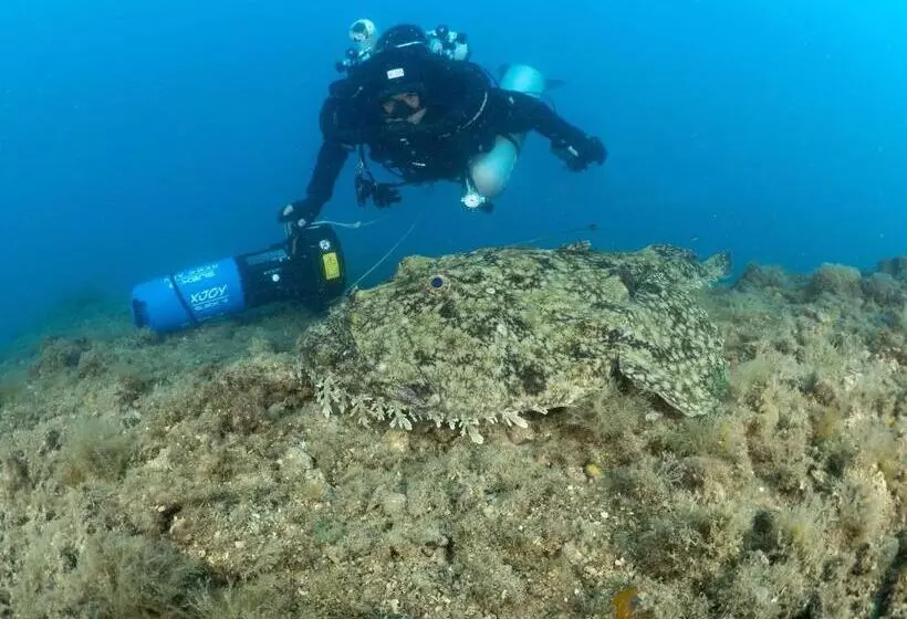 ホテル Internazionale