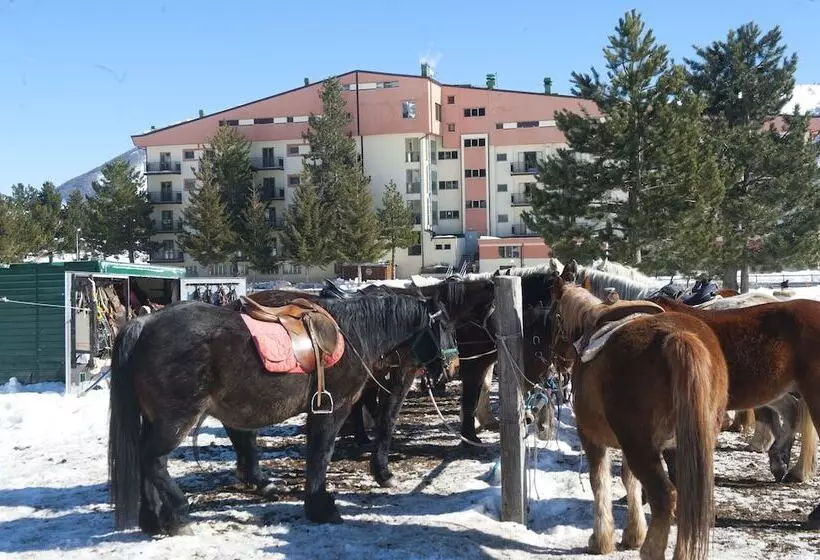 ホテル Magnola Palace