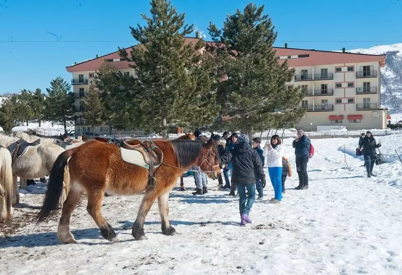 ホテル Magnola Palace