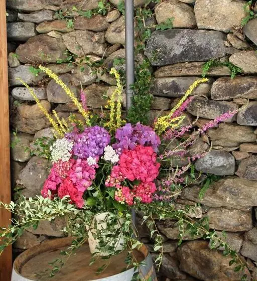 ホテル Albergo Miniere