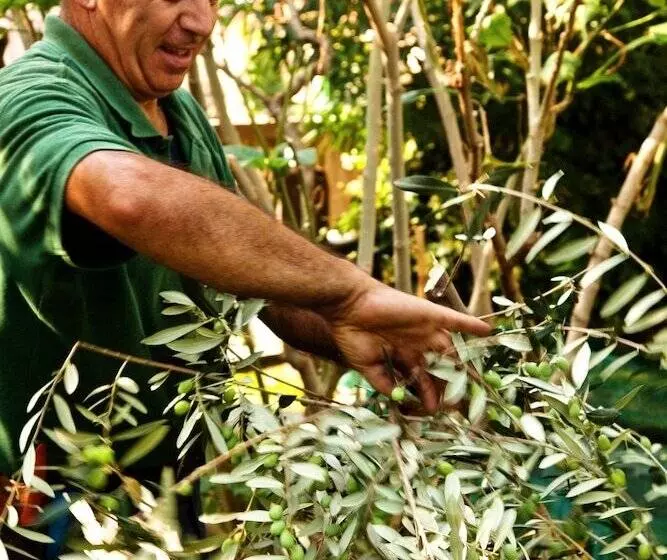 Grand Hotel Excelsior Vittoria