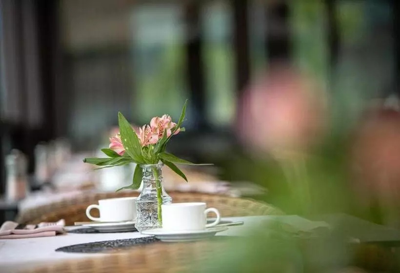 Отель Patriarch