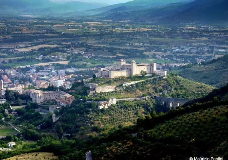 Lh Hotel Arca Street Art