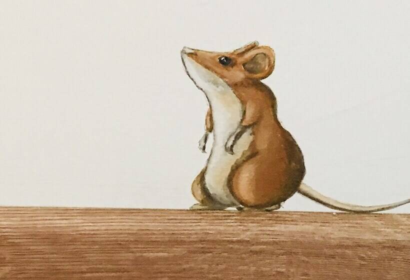 Lh Hotel Arca Street Art