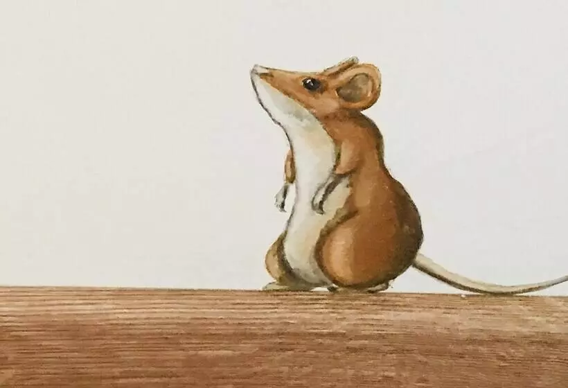 Lh Hotel Arca Street Art