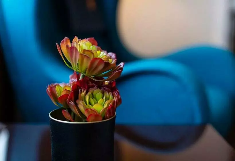 هتل Radisson Blu Saga , Reykjavik