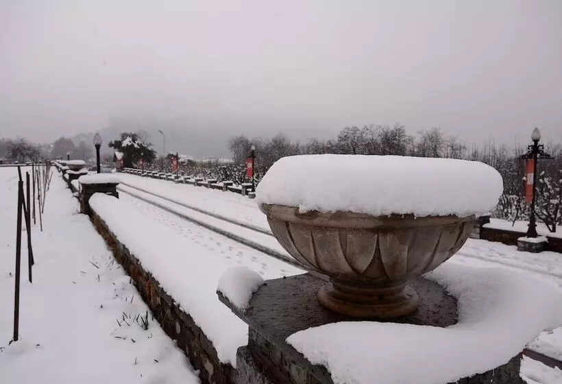 فندق The Lalit Grand Palace Srinagar