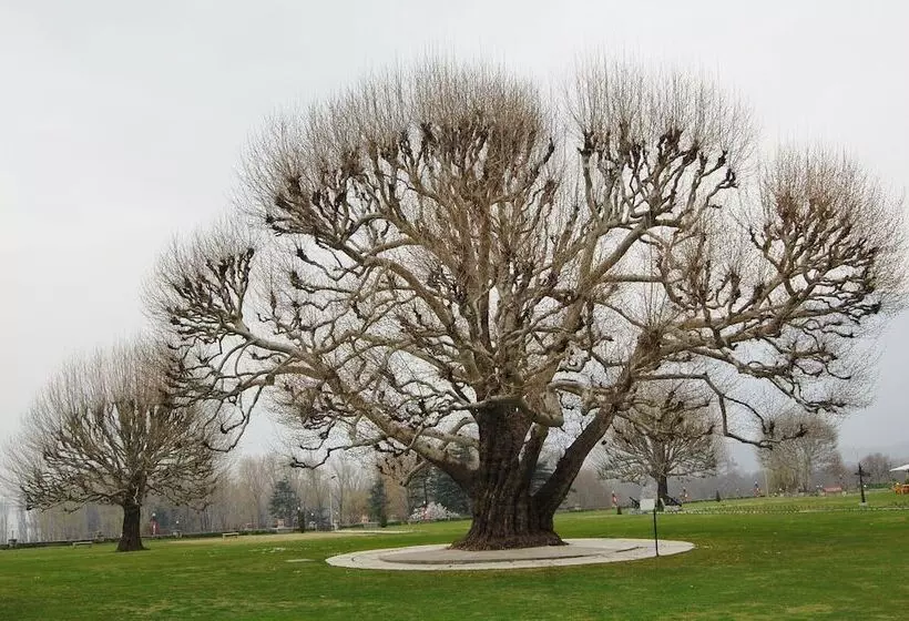 فندق The Lalit Grand Palace Srinagar