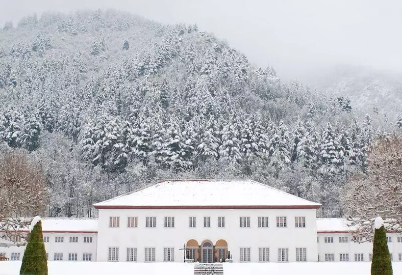 فندق The Lalit Grand Palace Srinagar