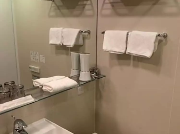 בית מלון כפרי Tokyu Stay Ginza