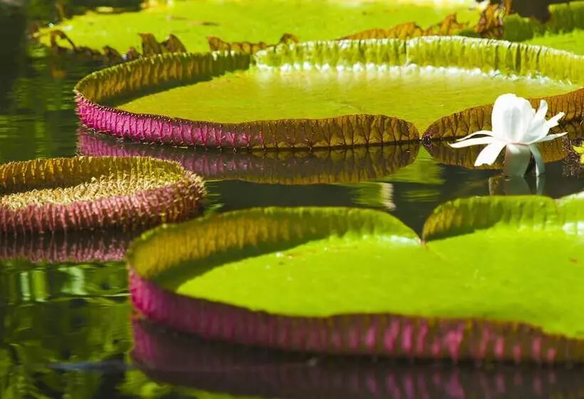 هتل Trou Aux Biches Beachcomber Golf Resort & Spa