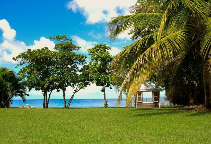 هتل Montpelier Plantation & Beach