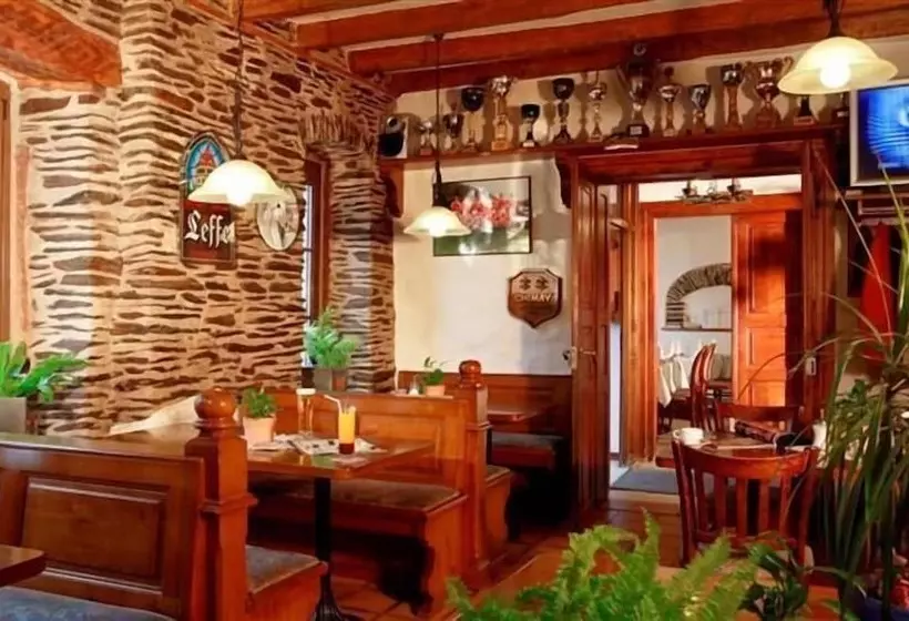 Logis Hotel Restaurant Petry