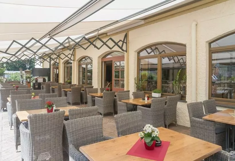 Logis Hotel Restaurant Petry