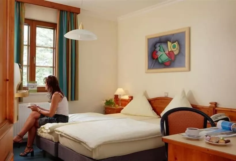 Logis Hotel Restaurant Petry