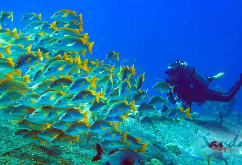 هتل Sandals Royal Caribbean   All Inclusive Couples Only