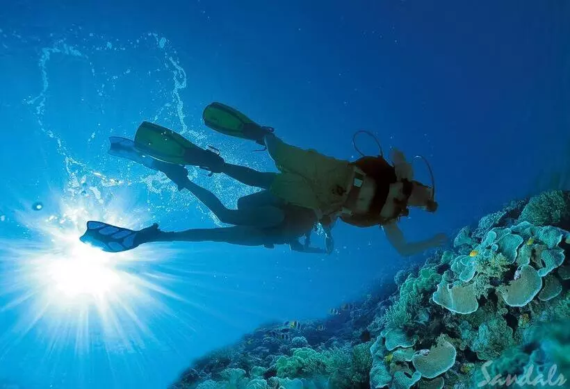 Hotel Sandals Royal Plantation All Inclusive   Couples Only