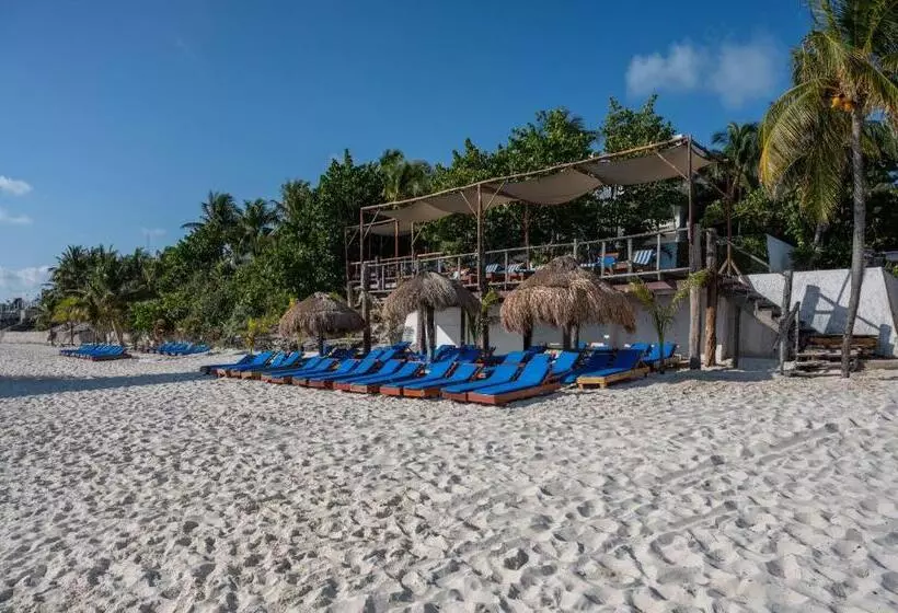 酒店 Maya Caribe Faranda Cancun