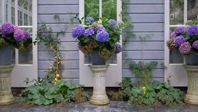 호텔 Apollofirst Boutique