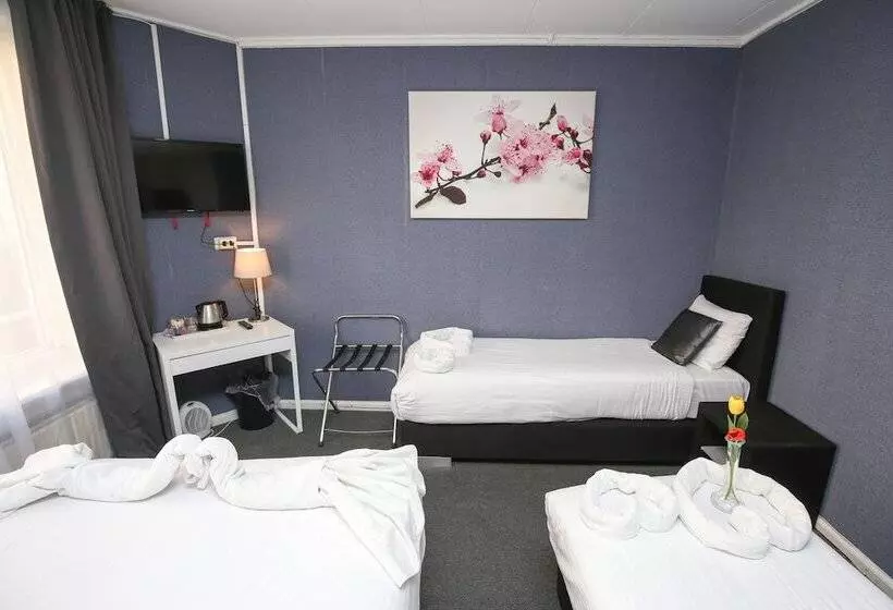 בית מלון כפרי Flipper Amsterdam