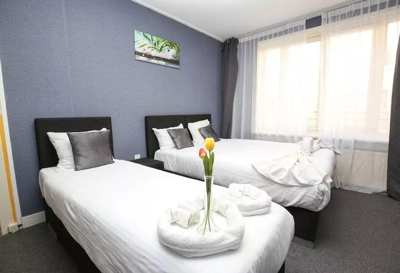 בית מלון כפרי Flipper Amsterdam