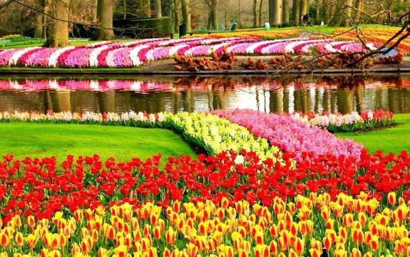 בית מלון כפרי Het Wapen Van Harmelen