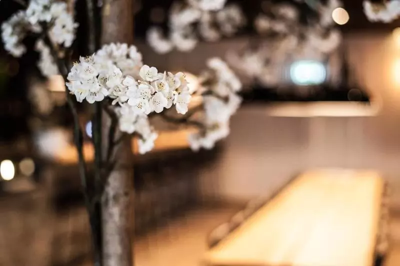 Отель Hoogeveen