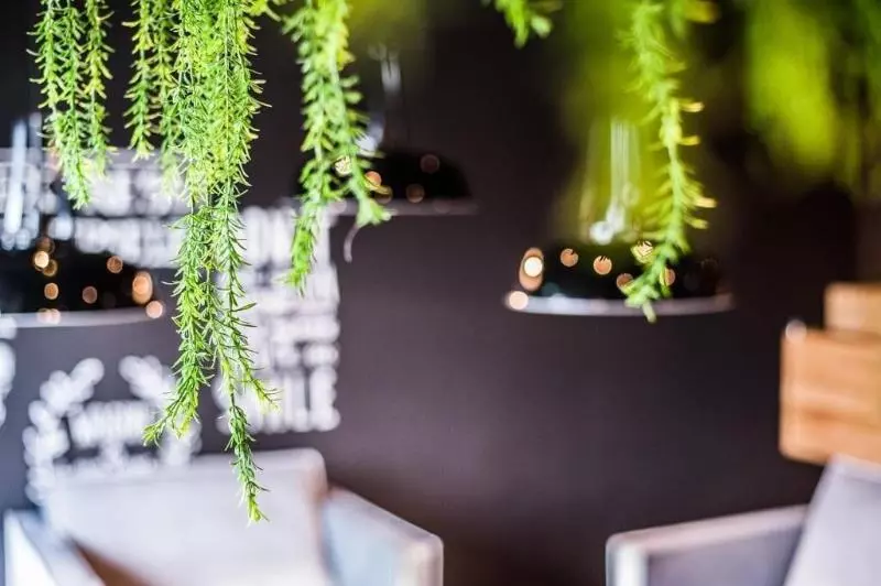 Отель Hoogeveen