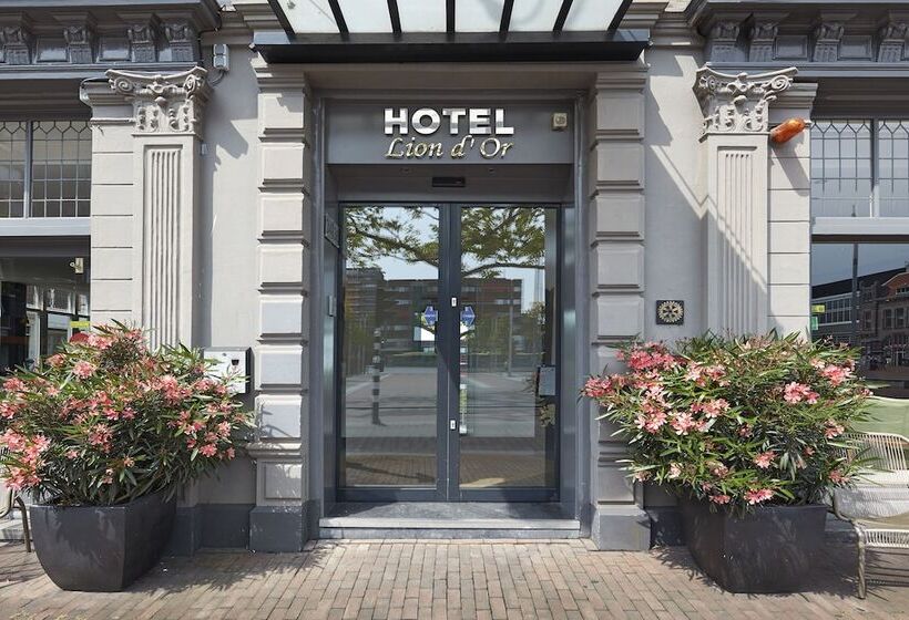 Hotel Lion D Or
