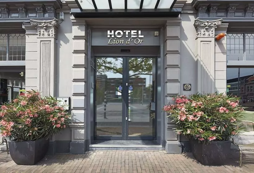هتل Lion D Or