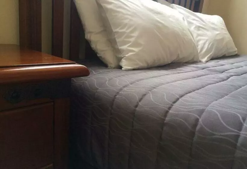 Отель Aaron Court Motor Inn