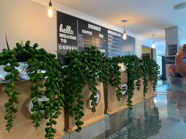 Отель Aaron Court Motor Inn