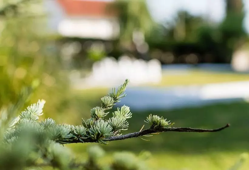 Отель Casa Da Padeira   Turismo Rural