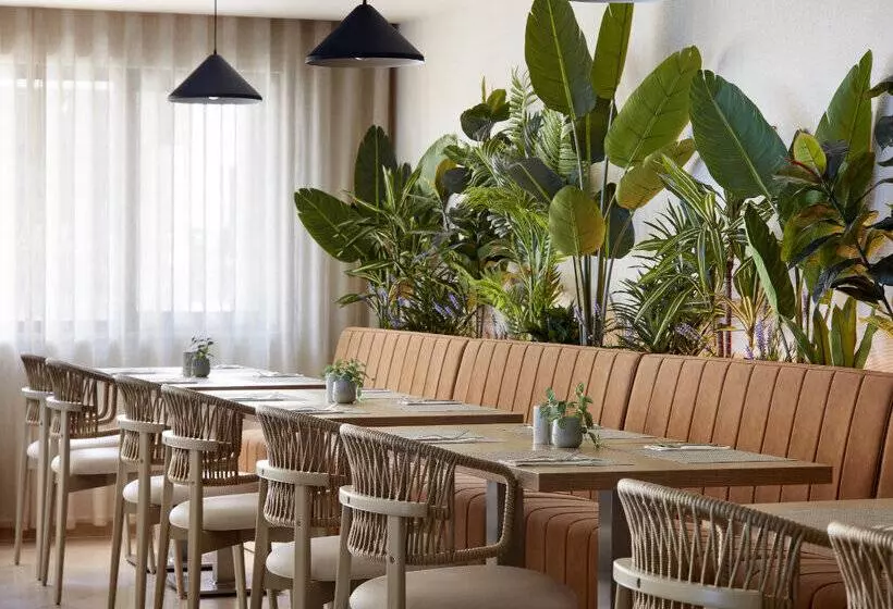 בית מלון כפרי Dom Jose Beach