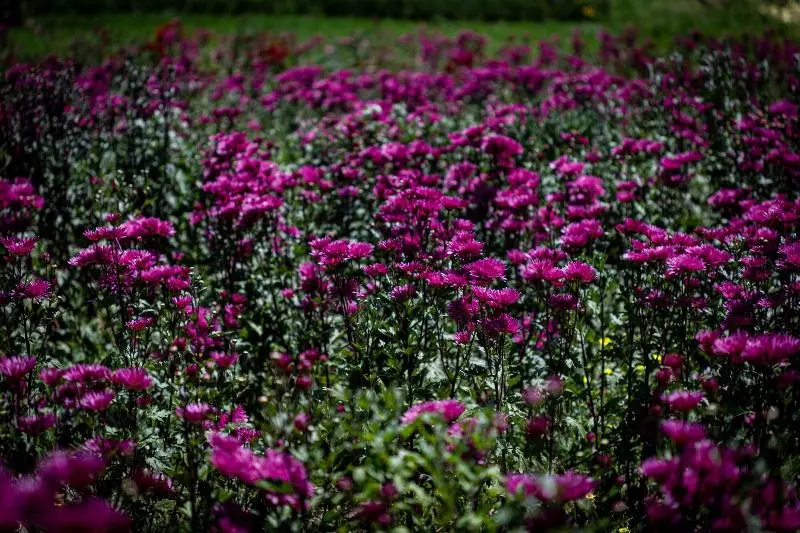 Lp Los Portales Hotel Tarma