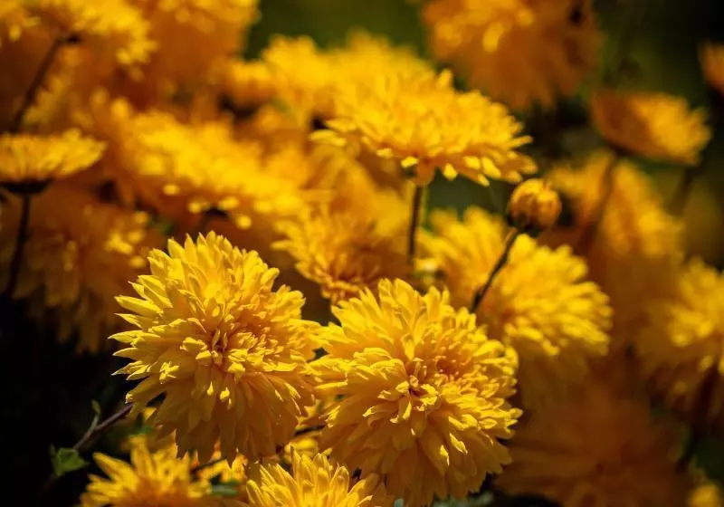 Lp Los Portales Hotel Tarma