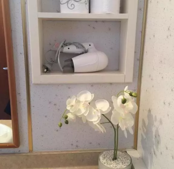 ホテル Mid City Motor Lodge