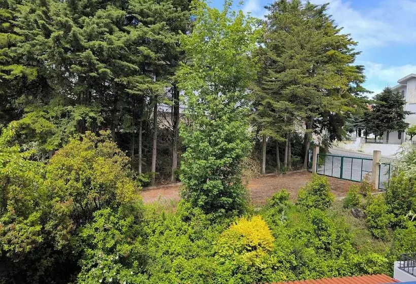 Отель Mira Serra