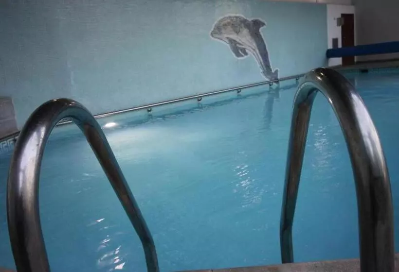 Отель Senhora Do Castelo