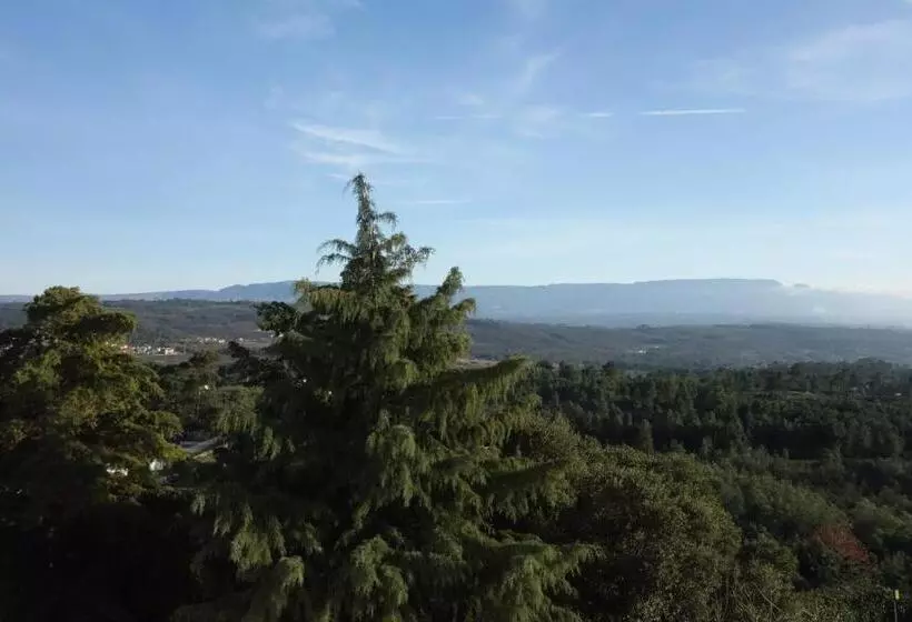 Отель Senhora Do Castelo