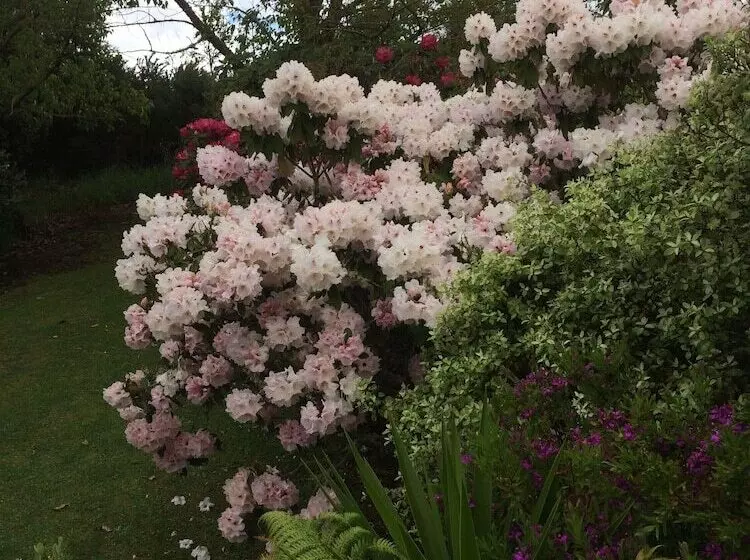 ホテル Waitomo Caves Guest Lodge