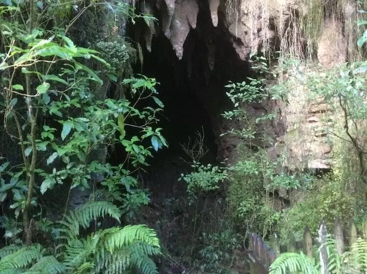 ホテル Waitomo Caves Guest Lodge