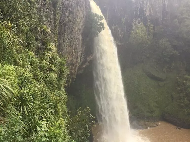 ホテル Waitomo Caves Guest Lodge
