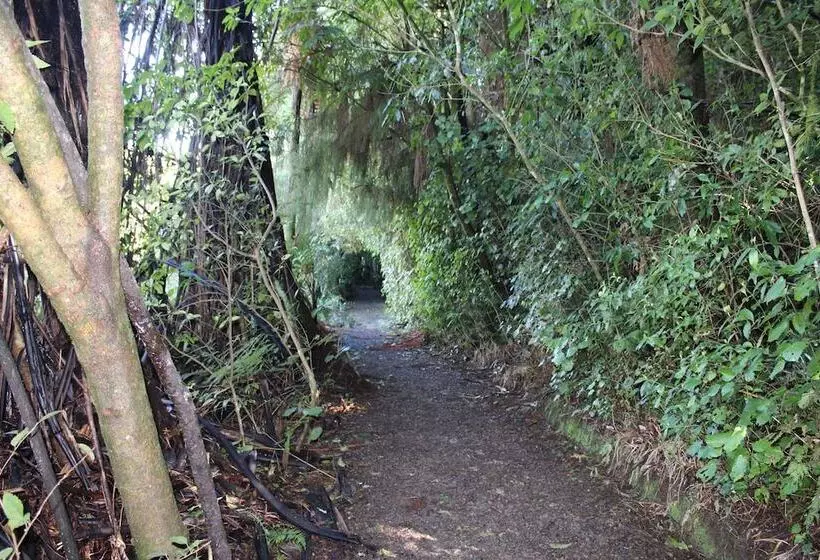 ホテル Waitomo Caves Guest Lodge