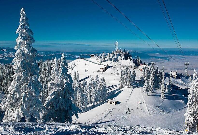 בית מלון כפרי Alpin Resort