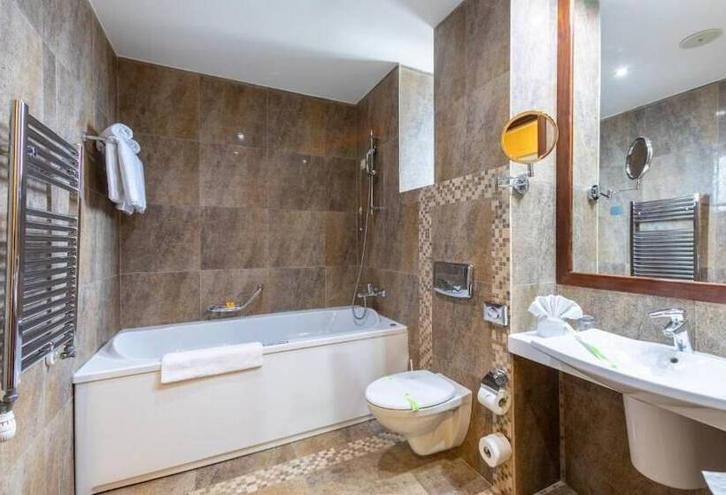 בית מלון כפרי Alpin Resort